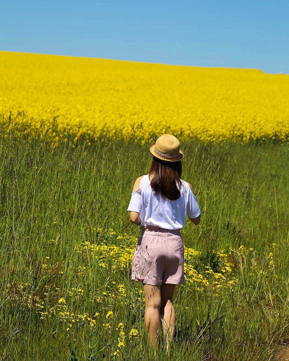 A woman in a straw hat walks through a green field toward yellow flowers